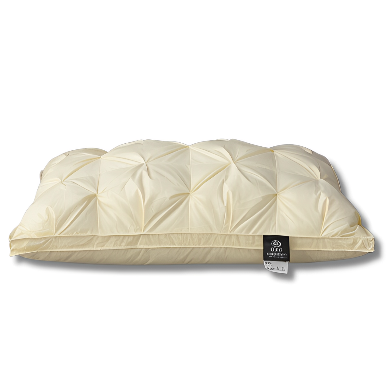 Oreiller Duvet d'Oie