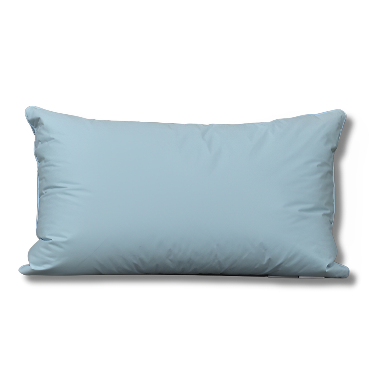 Oreiller Duvet et Plume