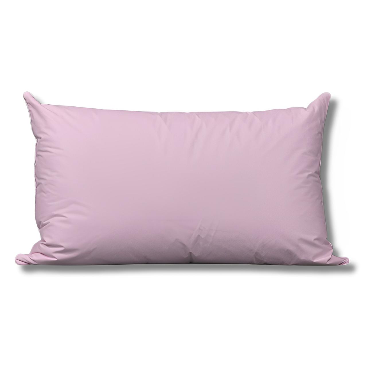 Oreiller Duvet et Plume