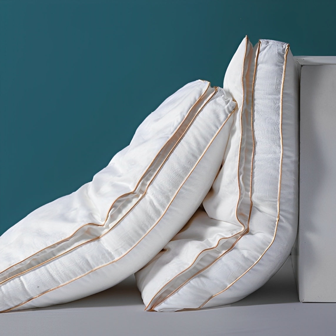 Oreiller en Soie Naturelle