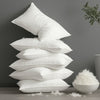 Oreiller plumes