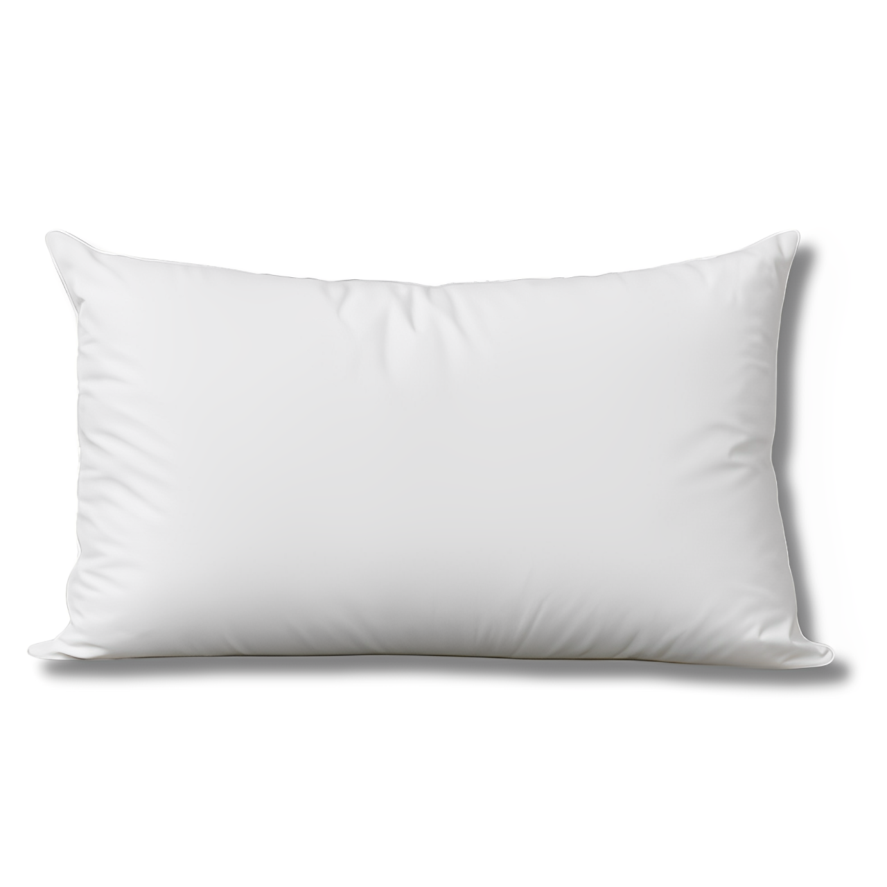Oreiller Duvet et Plume