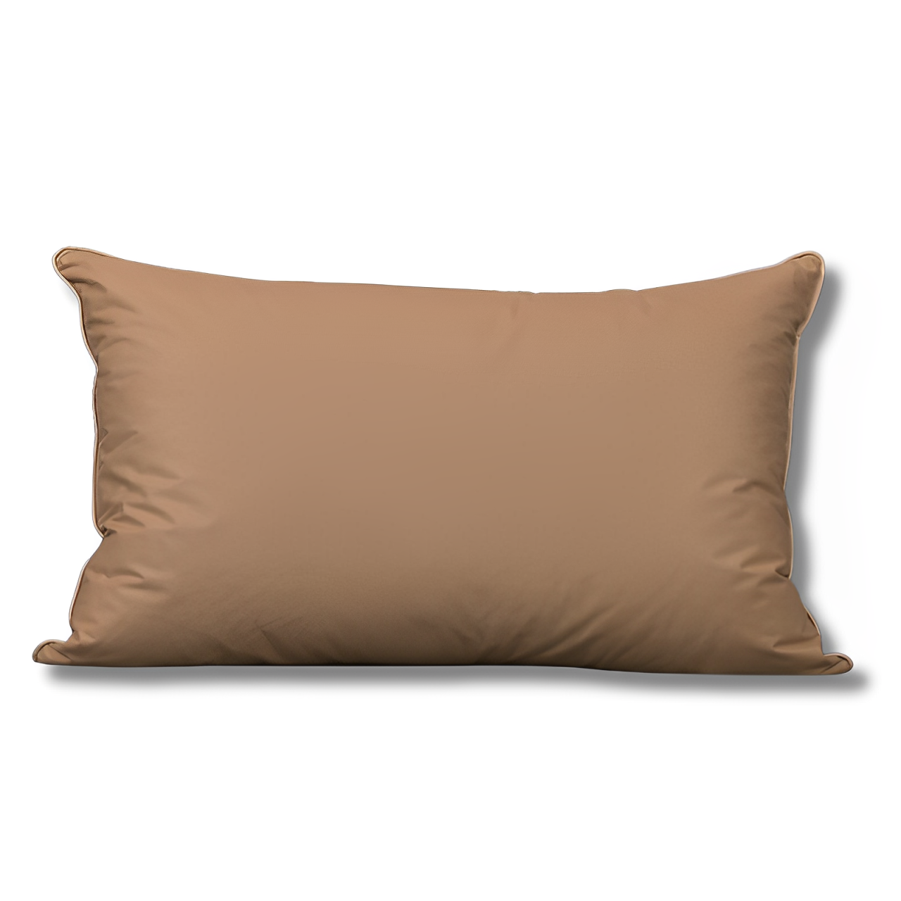 Oreiller Duvet et Plume